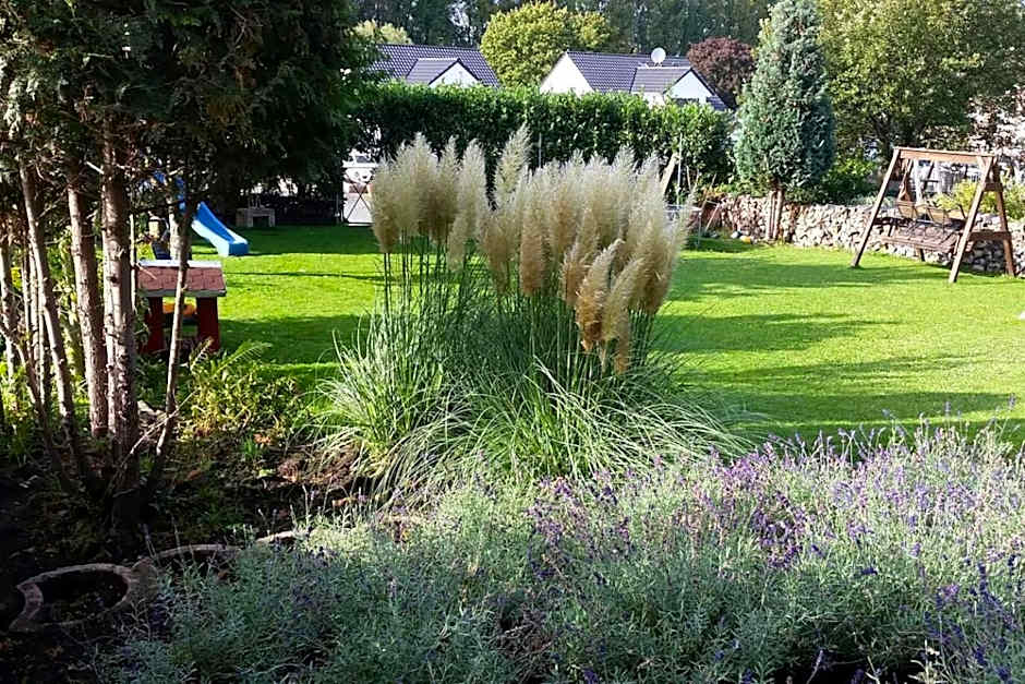 Schönste Lage am Rhein in unmittelbarer Stadtnähe, B & B