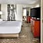 Detroit Metro Airport Marriott