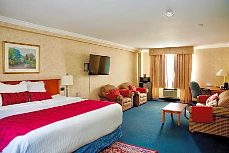 Honeymoon Suite with Spa Bath