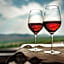 Tenuta Montemagno Relais & Wines