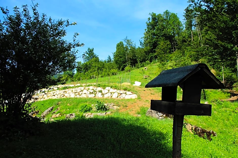 Bosco delle Rune ..un angolo di paradiso