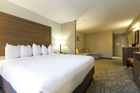 1 King Bed, Nonsmoking