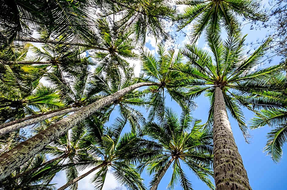 Marlin Waters Beachfront Apartments