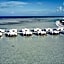 Riu Atoll - All Inclusive