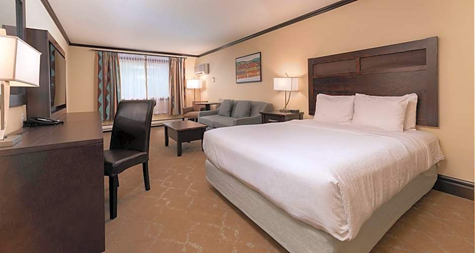 Photo 1 of 4 of 1 Queen Bed with Sofabed, Mobility Accessible, Bathtub