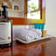 Cedia at Byron Bay Hinterland
