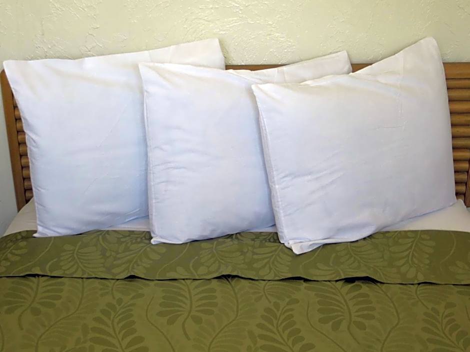 Americas Best Value Inn Loma Lodge