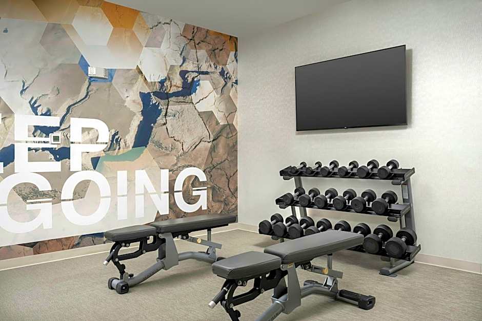 SpringHill Suites by Marriott Birmingham Gardendale