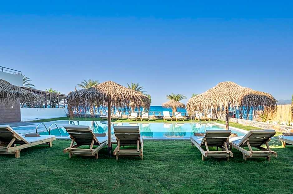 Golden Bee Lifestyle