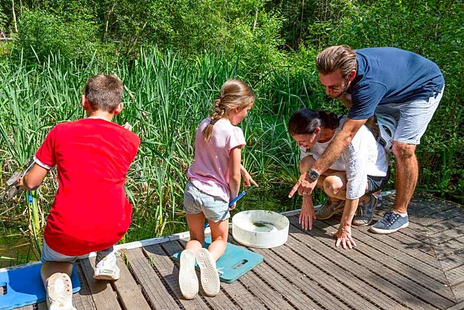 Sandy Balls Holiday Village