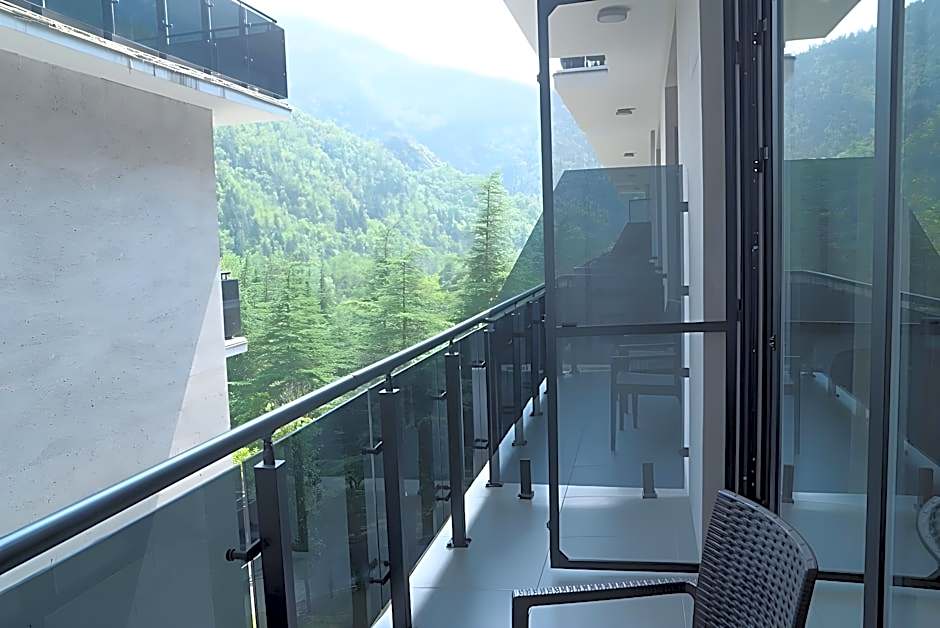Borjomi Likani Health & Spa Centre