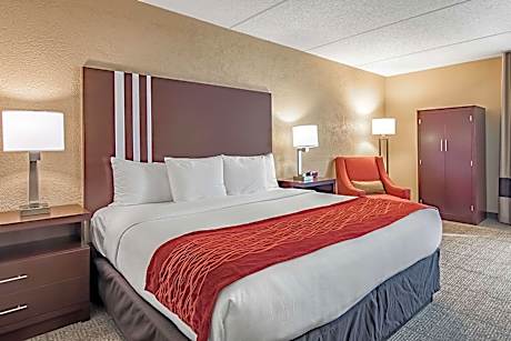 1 King Bed, Nonsmoking