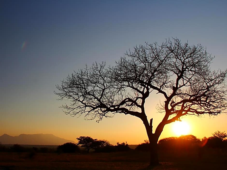 Thornhill Safari Lodge