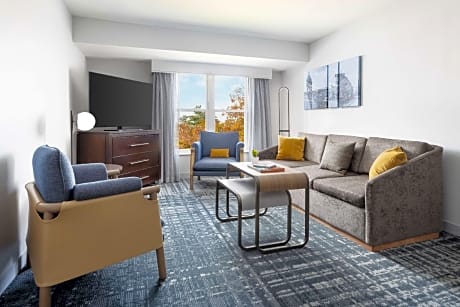 One-Bedroom King Suite - Non-Smoking