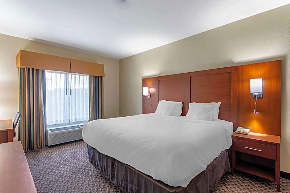 Comfort Inn & Suites Carbondale University Area