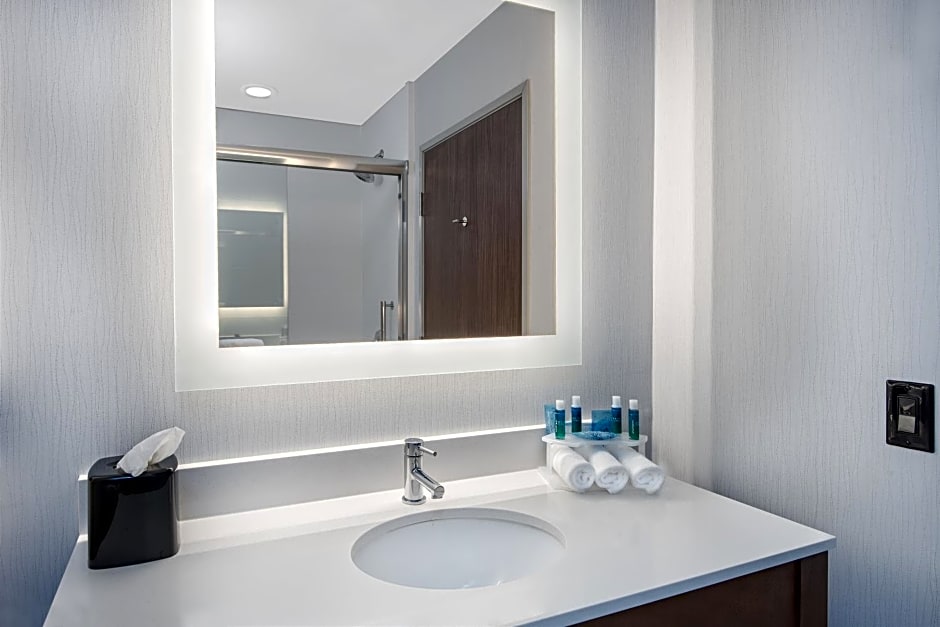 Holiday Inn Express & Suites Round Rock Austin North, an IHG Hotel