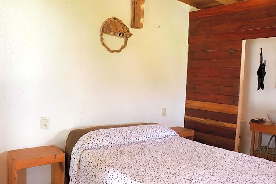 Cafe Maya - Casa Acalli