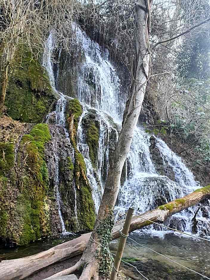 Hotel Boutique Bodegas De Arnes - Adults Only