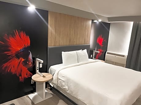 1 King Bed, Premier Junior Suite