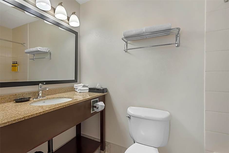 Best Western Plus Suites Downtown