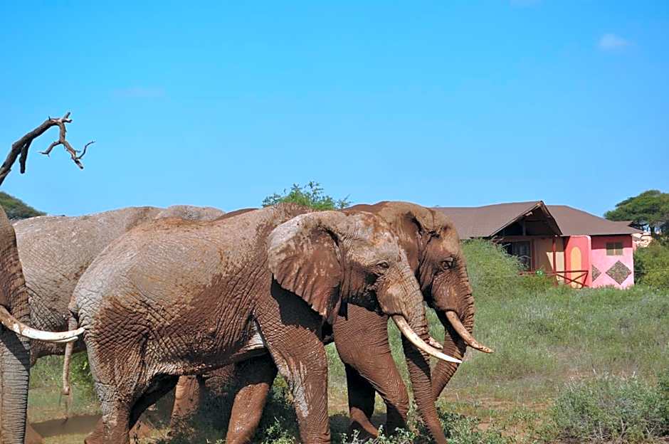 Kilima Safari Camp