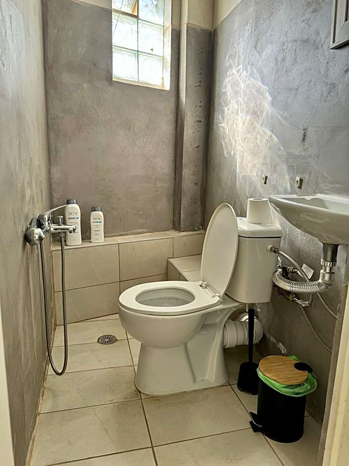 Starfish Seaside Studio