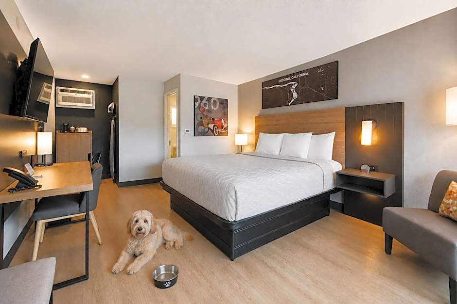 Photo 1 of 6 of Standard 1 King Bed, Pet-Friendly