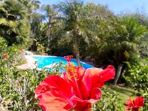 A Casa Di Angela B&B