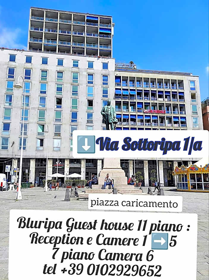 Bluripa Guest House