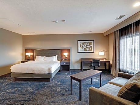 King Room with Roll-In Shower - Mobility Access