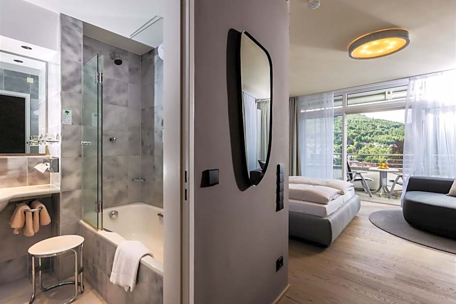 Schwarzwald Panorama