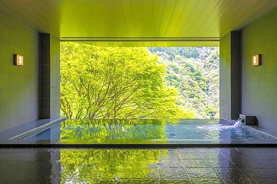 Wanoyado Hotel Iya Onsen Natural Hot Spring