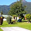Franz Josef TOP 10 Holiday Park