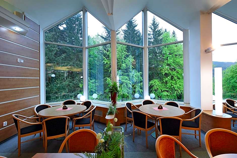 Interhotel Montana