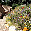 Domaine des Maréquiers chambre Mélilot