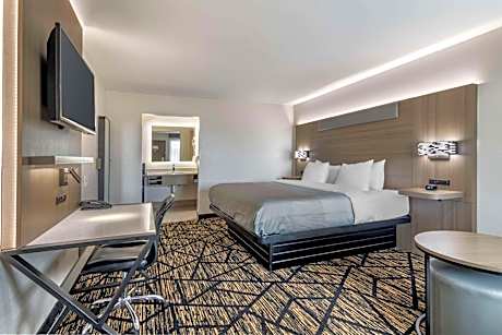 Standard King Room