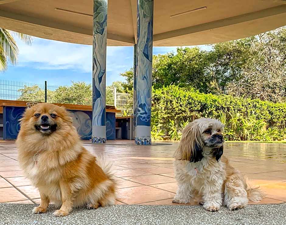 Puerto de Luna Pet Friendly and Family Suites