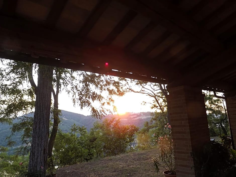 Piccolo Gesto d'Affetto