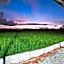 Paddy Villea Inn SPT Penang