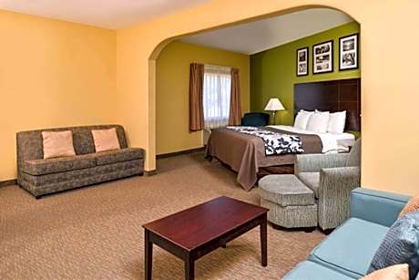Suite with Sofa Bed