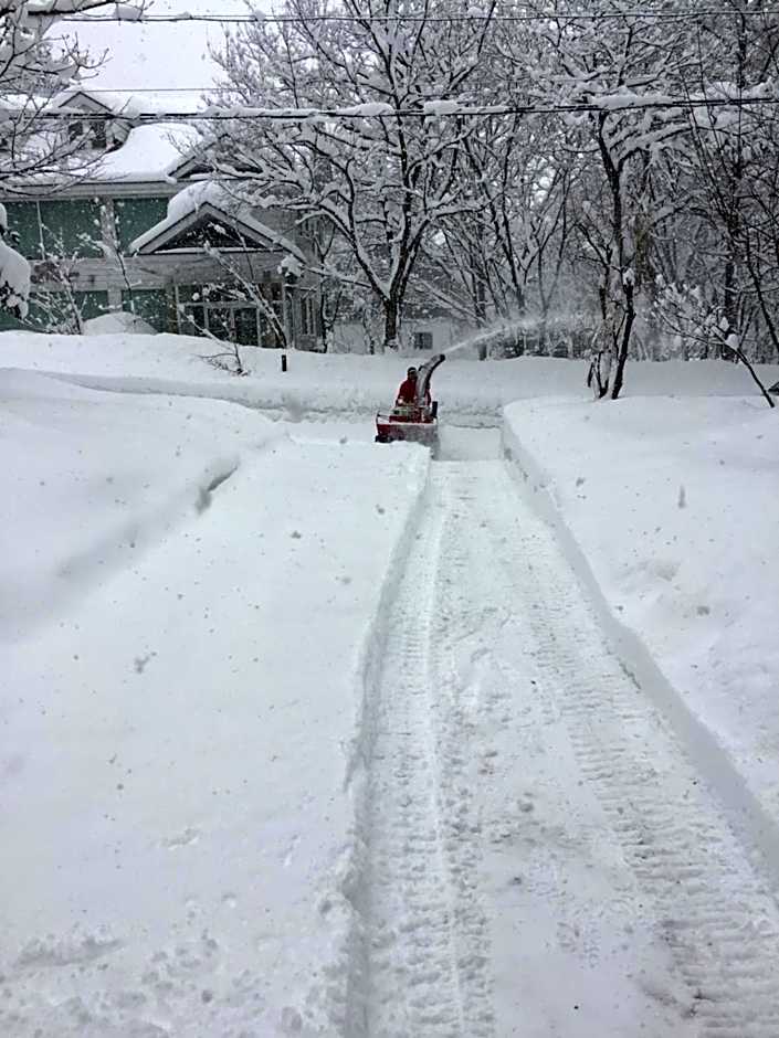 Shirokuma Lodge Hakuba