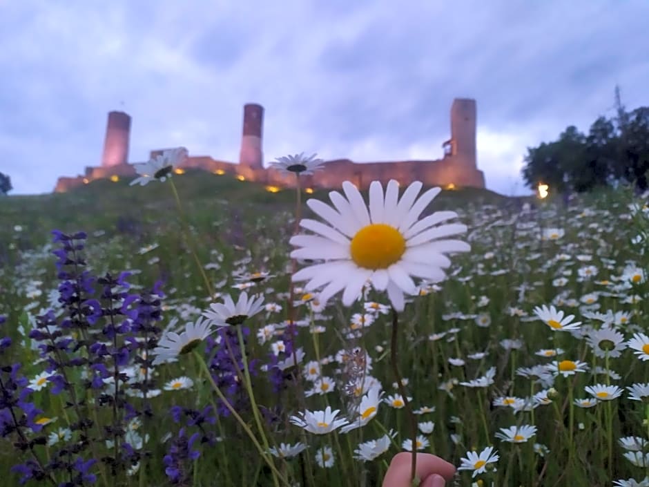 Willa Bona blisko Zamku Królewskiego i Rezerwatu zapraszam na grę miejską Magiczne Chęciny
