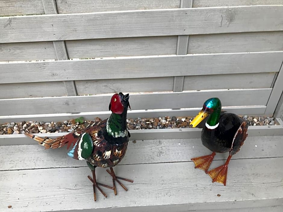 Old Thatch Bambers Green