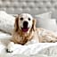 Holiday Inn - the niu, Flash Berlin Charlottenburg By IHG