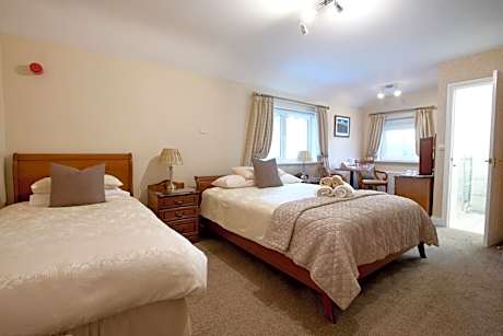 Deluxe Double or Twin Room