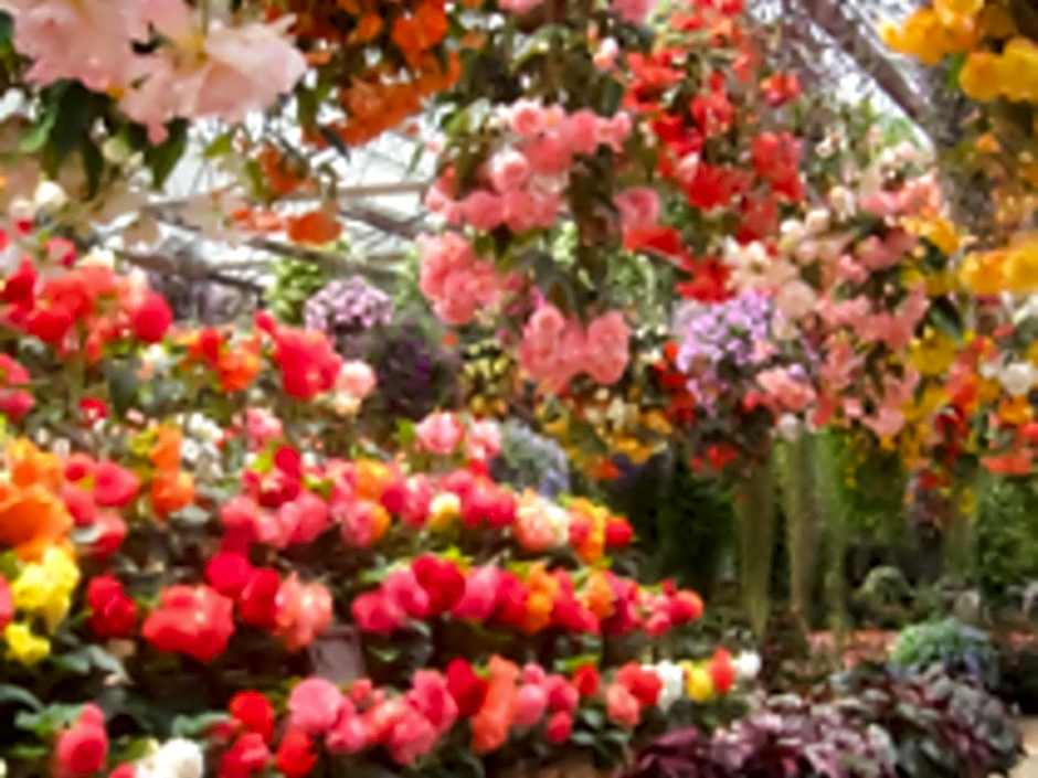 Shoji Mount Hotel - Vacation STAY 83035v