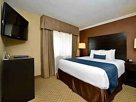 Executive Suite Sea View