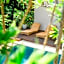 Bali Invest Living