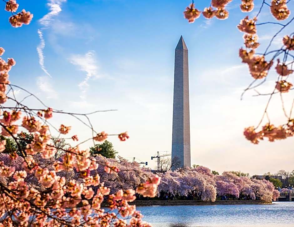 Staybridge Suites Washington D.C. - Greenbelt, an IHG hotel By IHG