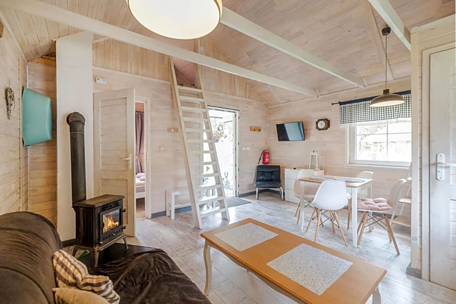 Domki w Dolinie Wieżycy